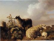 unknow artist Sheep 150 oil painting picture wholesale